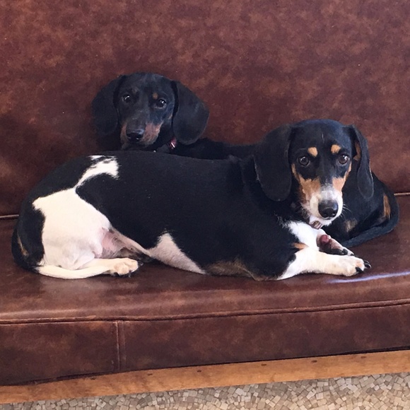 Meet your Posher, Ruth - Picture 7 of 16